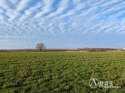 Werder (Havel) Landwirtschaftliche Nutzfläche in Plötzin Grundstück kaufen