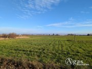 Werder (Havel) Landwirtschaftliche Nutzfläche in Plötzin Grundstück kaufen