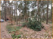 Beelitz (Landkreis Potsdam-Mittelmark) Alle Hausarten auf KLASSE Bauland möglich Grundstück kaufen