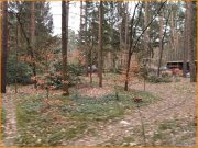 Beelitz (Landkreis Potsdam-Mittelmark) Alle Hausarten auf KLASSE Bauland möglich Grundstück kaufen