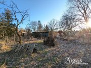 Beelitz (Landkreis Potsdam-Mittelmark) Traumgrundstück in Beelitz - bauträgerfrei Grundstück kaufen