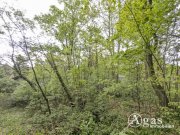 Schwielowsee Großzügiges Baugrundstück in begehrter Wohnlage von Caputh Grundstück kaufen