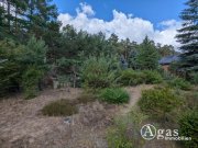 Borkheide Vollvermietetes Mehrfamilienhaus mit 3 Wohneinheiten in Borkheide Haus kaufen