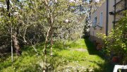 Wiesenburg/Mark Schönes EFH mit Garten und Einliegerwohnung im Nebengelass Haus kaufen