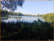 Treuenbrietzen ZWEI Wassergrundstücke in TRAUMHAFTER Lage, exklusiv, attraktiv, nicht träumen besichtigen Grundstück kaufen