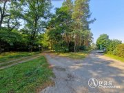 Groß Lindow Bauträgerfreies Traumgrundstück mit ca. 1.000 m² in ruhiger Lage von Groß Lindow Grundstück kaufen