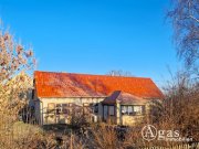 Küstriner Vorland Modernisiertes Landhaus mit Scheune und Nebengebäuden auf fast 2 Hektar großem Grundstück Haus kaufen