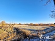 Küstriner Vorland Modernisiertes Landhaus mit Scheune und Nebengebäuden auf fast 2 Hektar großem Grundstück Haus kaufen