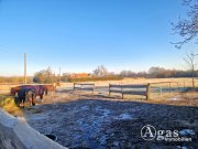 Küstriner Vorland Modernisiertes Landhaus mit Scheune und Nebengebäuden auf fast 2 Hektar großem Grundstück Haus kaufen