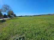 Küstriner Vorland Prov.-frei: Baugrundstück Grundstück kaufen