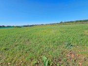 Küstriner Vorland Prov.-frei: Baugrundstück Grundstück kaufen