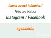 Küstriner Vorland Wohnhaus mit Wintergarten und ca. 350 m² Werkstatt und Doppelgarage in verkehrsgünstiger Lage Haus kaufen