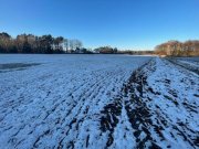 Altlandsberg Investition in die Zukunft: Entwicklungsgrundstück vor den Toren der Hauptstadt Grundstück kaufen