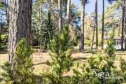 Mittenwalde (Landkreis Dahme-Spreewald) Bauträgerfreies Eckgrundstück in Töpchin - für Ihren Traum vom Eigenheim! Grundstück kaufen