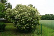 Christinendorf Grundstück in Dabendorf mit Blick auf Feld und Naturschutzgebiet Grundstück kaufen