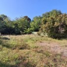 Zossen Baugrundstück in Zossen - Bauerwartungsland - Baugrundstück Grundstück kaufen