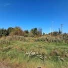 Zossen Baugrundstück in Zossen - Bauerwartungsland - Baugrundstück Grundstück kaufen
