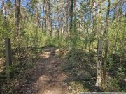 Wandlitz Erholungsgrundstück direkt am Bauersee Grundstück kaufen
