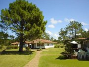 Jaureguiberry Traumhafte Ferienanlage mit Meerblick & Potenzial in Uruguay Gewerbe kaufen