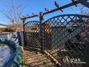 Oranienburg Charmanter Pachtgarten mit Bungalow und Pool in Oranienburg (kein Verein) Haus kaufen