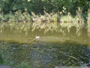Oranienburg Erholungsobjekt am Oranienburger Kanal Haus kaufen