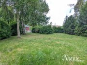 Bergfelde Bauträgerfreies Grundstück mit Bungalow in idyllischer Waldrandlage in Bergfelde Grundstück kaufen