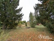 Velten Großes Grundstück (zukünftiges Bauland) in Velten Grundstück kaufen