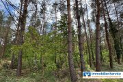 Dreetz (Landkreis Ostprignitz-Ruppin) Wohnen, wo der Wald beginnt – charmantes Reihenendhaus mit Garten Haus kaufen