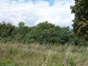 Bartow Grundstück in 17089 Gnevkow im Nachverkauf Verkaufsunterlagen anfordern Grundstück kaufen