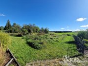 Cölpin Bauträgerfreies gutgeschnittenes Grundstück in Ortsrandlage Grundstück kaufen
