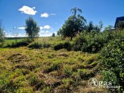 Cölpin Bauträgerfreies gutgeschnittenes Grundstück in Ortsrandlage Grundstück kaufen