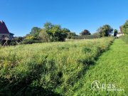 Mildenitz Bauträgerfreies ca. 1.976 m² großes Grundstück zu verkaufen Grundstück kaufen