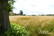Groß Miltzow Gutgeschnittenes bauträgerfreies Grundstück in Groß Miltzow nahe der Insel Usedom Grundstück kaufen
