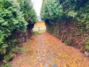 Zinnowitz Mehrfamilienhaus in Zinnowitz - ca. 1,5 km Fußweg zur Ostsee Haus kaufen