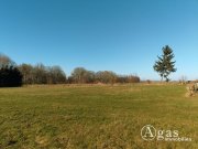 Lüssow (Landkreis Vorpommern-Greifswald) Noch zu teilendes ca. 1.250m² großes Grundstück mit ca. 4.000m² Gartenland in Ostseenähe Grundstück kaufen