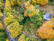 Rosengarten Großes Grundstück in Traumlage am Wald! Grundstück kaufen