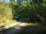 Rosengarten Großes Grundstück in Traumlage am Wald! Grundstück kaufen