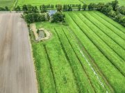 Hemmoor 1878: Traumhaft & geschmackvoll saniertes Anwesen auf ca. 24.000 qm mit ca. 350 qm Wohn-/Nutzfläche! Haus kaufen