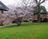 Hamburg Provisionsfrei: Großzügige 4-Zimmer-Wohnung auf großem Grundstück Wohnung kaufen