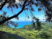 Privlaka Ein neues Projekt mit luxuriösen Wohnungen - erste Reihe zum Meer Wohnung kaufen