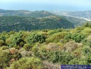 Kyparissia  Baugrundstück mit Meer- und Bergsicht, auch teilbar Grundstück kaufen