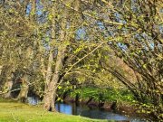Rellingen Zuhause statt einfach nur Immobilie – gepflegtes Reihenhaus mit idyllischem Garten an der Mühlenau Haus kaufen