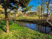 Rellingen Zuhause statt einfach nur Immobilie – gepflegtes Reihenhaus mit idyllischem Garten an der Mühlenau Haus kaufen