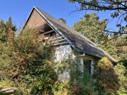 Heide Ihr neues Zuhause in ruhiger Sackgassenlage in Heide – mit separatem Baugrundstück Haus kaufen