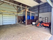 Linden (Kreis Dithmarschen) Verkauf eines gepflegten Resthofes mit Hausweide und Pferdeboxen in Linden Haus kaufen