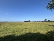 Esens Landhaus mit 2 Wohnungen, Scheune, 2 Schuppen und 6 ha Land! Haus kaufen