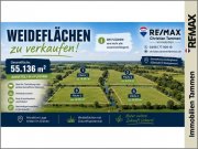 Rhauderfehn * ca.55.136 m² Weideflächen in der Gemarkung Collinghorst – Sofort verfügbar * Grundstück kaufen