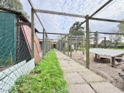 Bunde *großes Grundstück *Gasheizung von 2024 *Top Lage *Ausbaureserve *Carport Haus kaufen