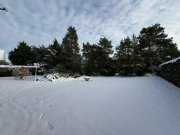 Börger *Top gepflegtes, Charmantes 60er-Jahre-Haus mit großem Garten und viel Privatsphäre* Haus kaufen