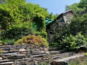 Gurrone Traumlage! Alleinlage die erklommen werden möchte! Adlerhorst mit Pool und Seesicht oberhalb von Canobbio Haus kaufen